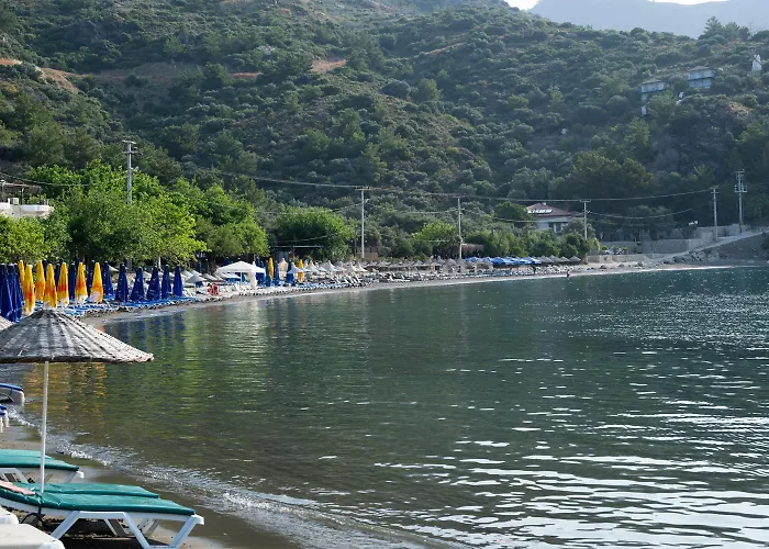 Olive Garden * Datça