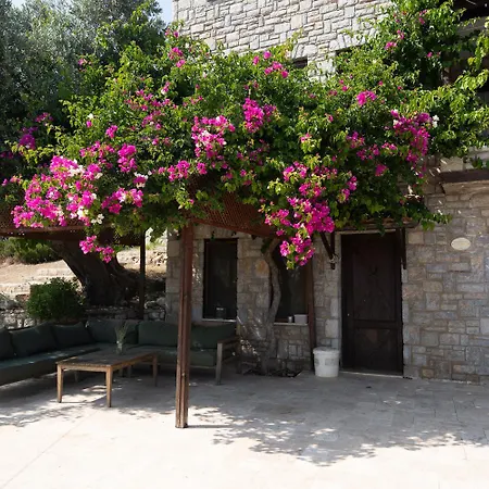 Villa Olive Garden *