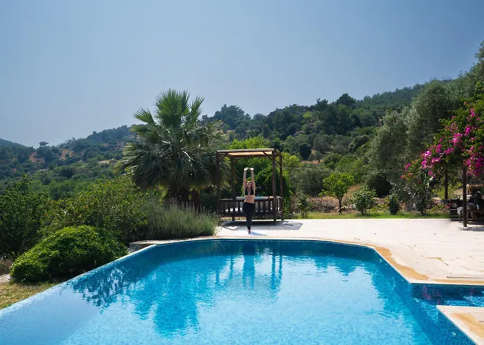 Olive Garden * Datca