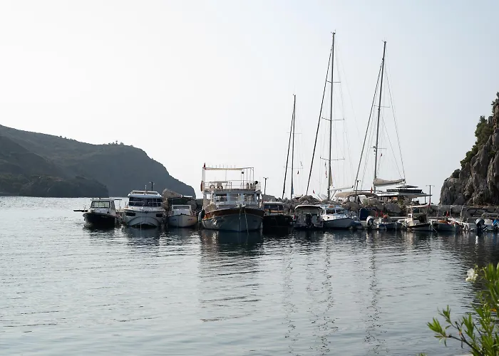 Olive Garden * Datca