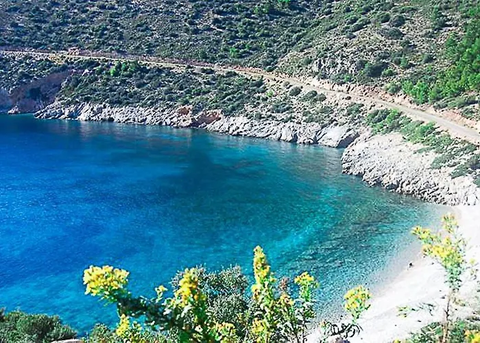 Olive Garden Villa *